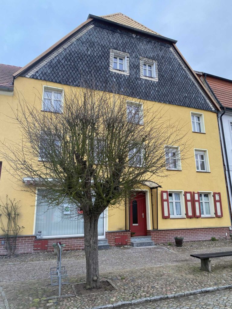 Rotdorn auf dem Marktplatz in Werben (Elbe)